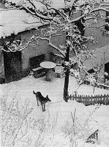 Беседы о фотомастерстве dyko_photo_128.jpg