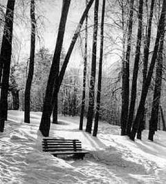Беседы о фотомастерстве dyko_photo_009.jpg