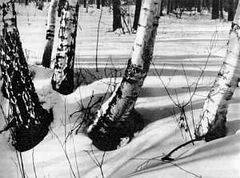 Беседы о фотомастерстве dyko_photo_010.jpg