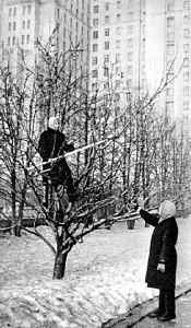Беседы о фотомастерстве dyko_photo_021.jpg