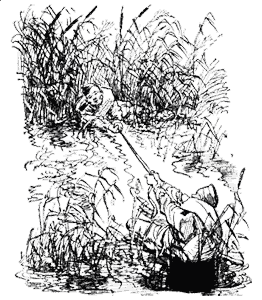 Максим Перепелица any2fbimgloader2.png