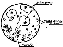 Коварное оружие image0031.png