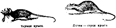 Коварное оружие image006.png