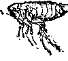 Коварное оружие image008.png