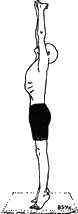 Древние тантрические техники йоги и крийи. Вводный курс image064.png