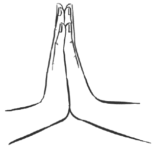 Велнес по-рублевски i_015.png
