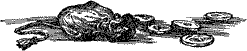 Подземелья Черного замка i_039.png