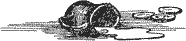 Подземелья Черного замка i_048.png