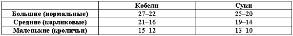 Охотничьи собаки i_027.png