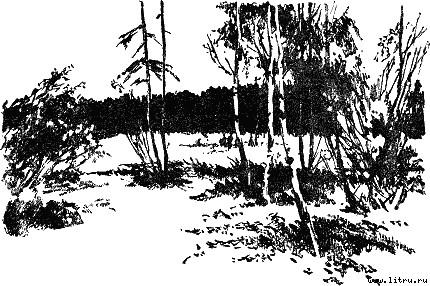 Старшая сестра i_003.jpg