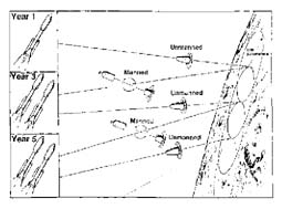 First Landing img1