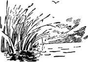 i_003.jpg