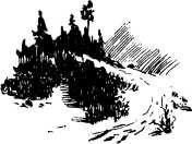 i_038.jpg