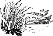 i_005.jpg