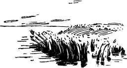 i_064.jpg