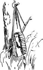 i_070.jpg