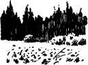 i_011.jpg