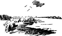 i_016.jpg