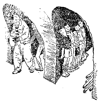 Невероятные приключения Марека Пегуса _22.png