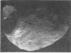 Тайны Марса i_016.jpg