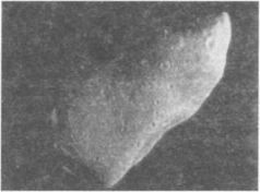 Тайны Марса i_037.jpg