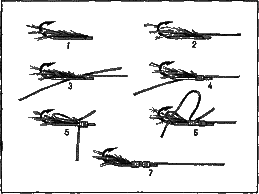 Морской рыболовный спорт i_016.png