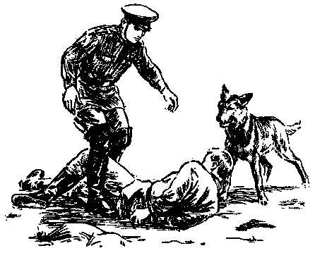 У самой границы pic_21.png