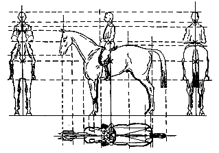 Учебник верховой езды i_009.png