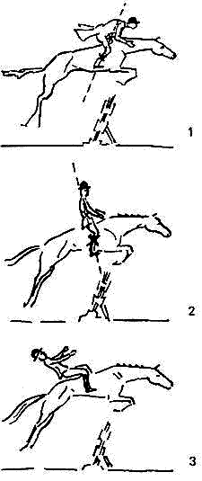 Учебник верховой езды i_013.png