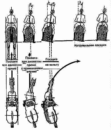 Учебник верховой езды i_014.png