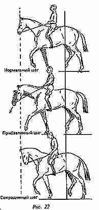 Учебник верховой езды i_022.png