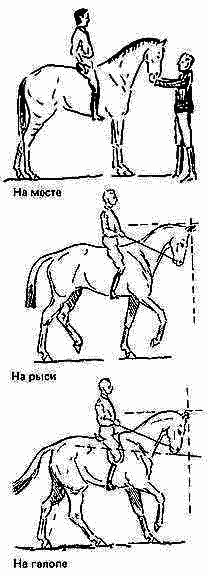 Учебник верховой езды i_023.png