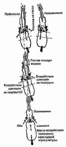 Учебник верховой езды i_031.png