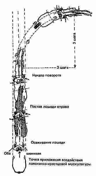 Учебник верховой езды i_033.png