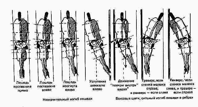 Учебник верховой езды i_035.png
