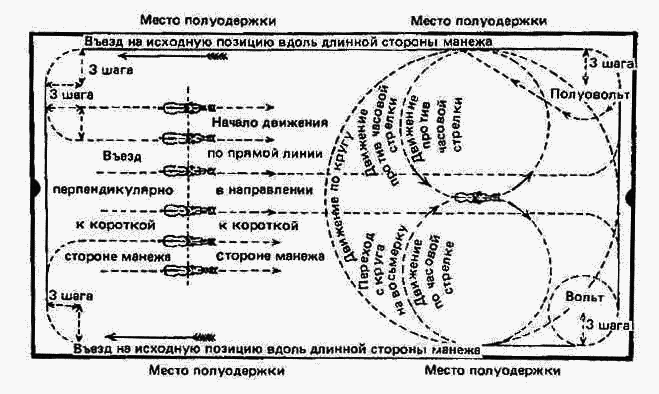 Учебник верховой езды i_038.png