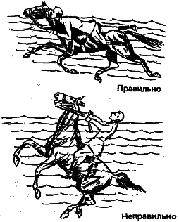 Учебник верховой езды i_040.png