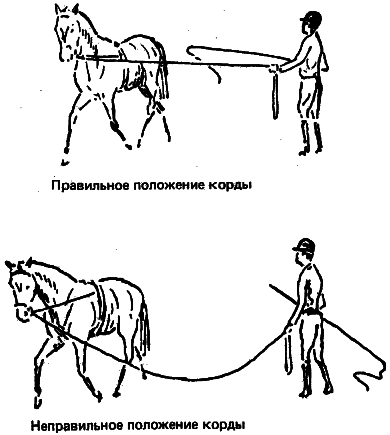 Учебник верховой езды i_044.png