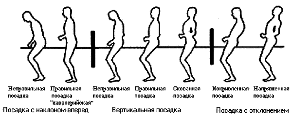 Учебник верховой езды i_001.png