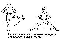 Учебник верховой езды i_002.png