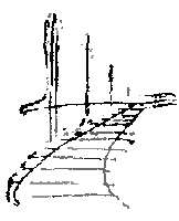 Разорванный рубль i_014.png