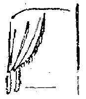 Разорванный рубль i_004.png