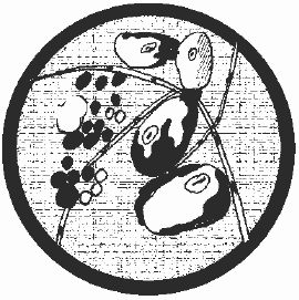 Антибиотики - убийцы i_007.png