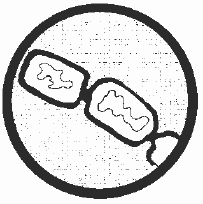 Антибиотики - убийцы i_010.png