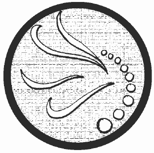 Антибиотики - убийцы i_003.png