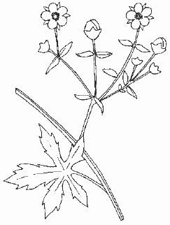 Антибиотики - убийцы i_033.png