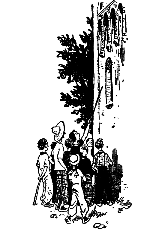 За березовыми книгами (илл С. Забалуева) i_011.png
