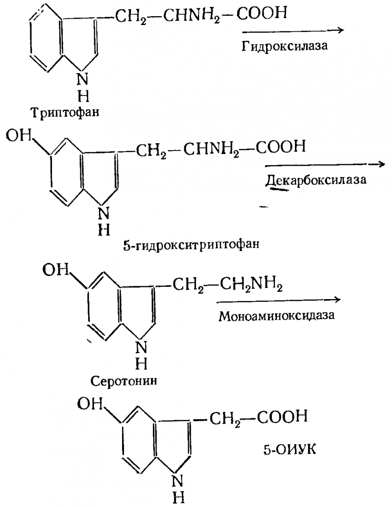 Лекарственные психозы и психотомиметические средства img_18.png