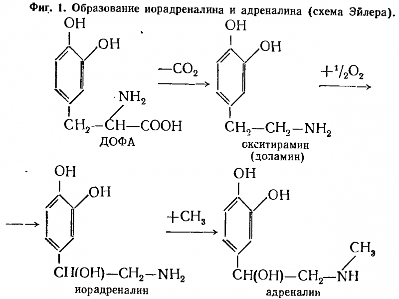 Лекарственные психозы и психотомиметические средства img_22.png