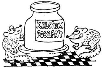 Заводи кого угодно, только не крокодила! i_020.jpg